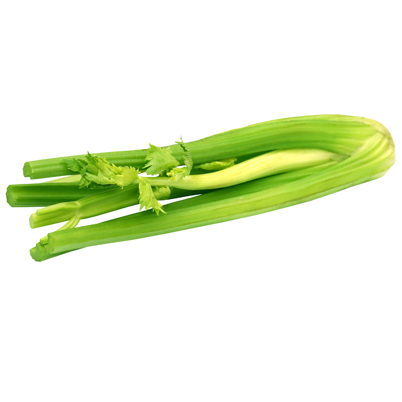 Celery